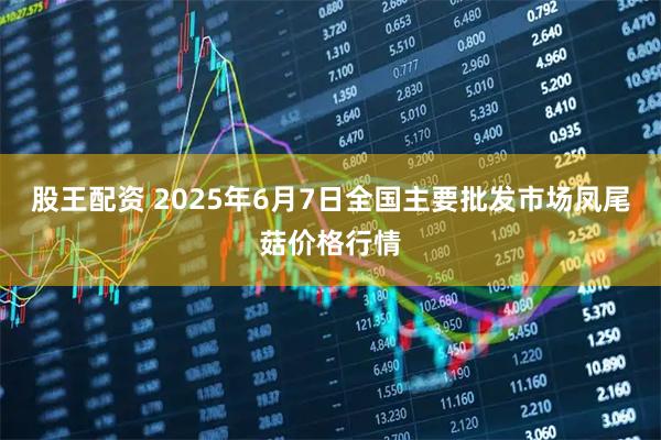 股王配资 2025年6月7日全国主要批发市场凤尾菇价格行情